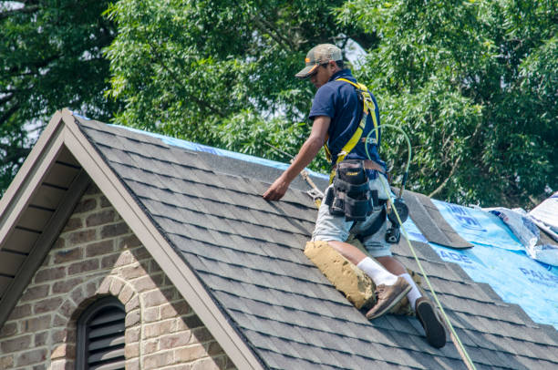 Best Storm Damage Roof Repair  in Cienegas Terrace, TX